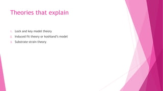 Theories that explain
1. Lock and key model theory
2. Induced fit theory or koshland’s model
3. Substrate strain theory
 