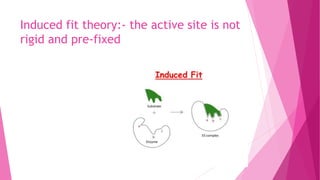 Induced fit theory:- the active site is not
rigid and pre-fixed
 
