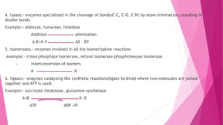 4. lyases:- enzymes specialized in the cleavage of bonds(C-C, C-O, C-N) by atom elimination, resulting in
double bonds.
Example:- aldolase, fumarase, histidase
Addition elimination
A-B+X-Y AX – BY
5. isomerases:- enzymes involved in all the isomerization reactions
example:- triose phosphate isomerase, retinol isomerase phosphohexose isomerase
interconversion of isomers
A A’
6. ligases:- enzymes catalyzing the synthetic reactions(ligate-to bind) where two molecules are joined
together and ATP is used.
Example:- succinate thiokinase, glutamine synthetase
A+B A- B
ATP ADP +Pi
 