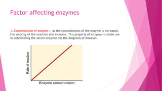 Factor affecting enzymes
1. Concentration of enzyme :- as the concentration of the enzyme is increased,
the velocity of the reaction also increase. This property of enzymes is made use
in determining the serum enzymes for the diagnosis of diseases.
 