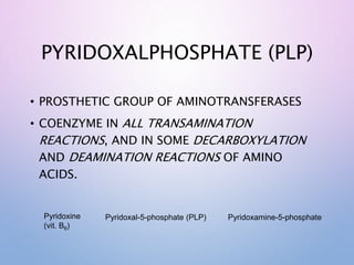 PYRIDOXALPHOSPHATE (PLP)
• PROSTHETIC GROUP OF AMINOTRANSFERASES
• COENZYME IN ALL TRANSAMINATION
REACTIONS, AND IN SOME DECARBOXYLATION
AND DEAMINATION REACTIONS OF AMINO
ACIDS.
Pyridoxine
(vit. B6)
Pyridoxal-5-phosphate (PLP) Pyridoxamine-5-phosphate
 