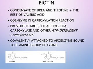 BIOTIN
• CONDENSATE OF UREA AND THIOFENE + THE
REST OF VALERIC ACID;
• COENZYME IN CARBOXYLATION REACTION
• PROSTHETIC GROUP OF ACETYL-COA
CARBOXYLASE AND OTHER ATP-DEPENDENT
CARBOXYLASES
• COVALENTLY ATTACHED TO APOENZYME BOUND
TO Ε-AMINO GROUP OF LYSINE.
 