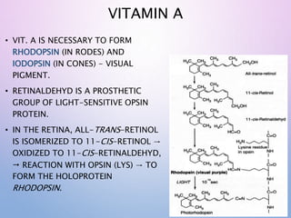 VITAMIN A
• VIT. A IS NECESSARY TO FORM
RHODOPSIN (IN RODES) AND
IODOPSIN (IN CONES) - VISUAL
PIGMENT.
• RETINALDEHYD IS A PROSTHETIC
GROUP OF LIGHT-SENSITIVE OPSIN
PROTEIN.
• IN THE RETINA, ALL-TRANS-RETINOL
IS ISOMERIZED TO 11-CIS-RETINOL →
OXIDIZED TO 11-CIS-RETINALDEHYD,
 REACTION WITH OPSIN (LYS) → TO
FORM THE HOLOPROTEIN
RHODOPSIN.
 