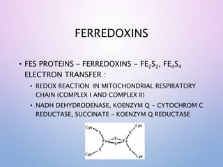 FERREDOXINS
• FES PROTEINS – FERREDOXINS - FE2S2, FE4S4
ELECTRON TRANSFER :
• REDOX REACTION IN MITOCHONDRIAL RESPIRATORY
CHAIN (COMPLEX I AND COMPLEX II)
• NADH DEHYDRODENASE, KOENZYM Q - CYTOCHROM C
REDUCTASE, SUCCINATE – KOENZYM Q REDUCTASE
 