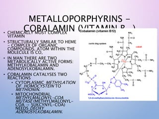METALLOPORPHYRINS -
COBALAMIN (VITAMIN B12)
• CHEMICALLY MOST COMPLEX
VITAMIN
• STRUCTURALLY SIMILAR TO HEME
- COMPLEX OF ORGANIC
COMPOUNDS, ATOM WITHIN THE
MOLECULE IS CO,
• IN MAN THERE ARE TWO
METABOLICALLY ACTIVE FORMS:
METHYLKOBALAMIN AND
ADENOSYLKOBALAMIN.
• COBALAMIN CATALYSES TWO
REACTIONS
• CYTOPLASMIC METHYLATION
OF HOMOCYSTEIN TO
METHIONIN.
• MITOCHONDRIAL
METHYLMALONYL-COA
MUTASE (METHYLMALONYL-
COA → SUKCYNYL-COA)
NEEDS DEOXY
ADENOSYLKOBALAMIN.
 