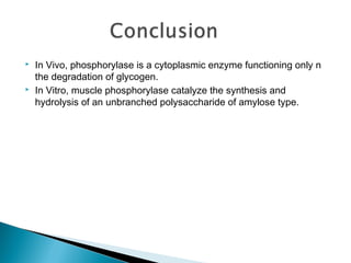  In Vivo, phosphorylase is a cytoplasmic enzyme functioning only n 
the degradation of glycogen. 
 In Vitro, muscle phosphorylase catalyze the synthesis and 
hydrolysis of an unbranched polysaccharide of amylose type. 
 