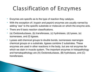  Enzymes are specific as to the type of reaction they catalyze. 
 With the exception of ( trypsin and pepsin) enzymes are usually named by 
adding “ase” to the specific substrate or molecule on which the enzyme acts. 
 There are 6 basic reaction classifications. 
 (a) Oxidoreductases, (b) transferases, (c) hydrolases, (d) lyases, (e) 
isomerases, and (f) ligases. 
 Lyases add chemical groups to double bonds, isomerases rearranges 
chemical groups on a substrate, ligases combine 2 substrates. These 
enzymes are used in other reactions in the body, but are not enzymes for 
which we stain in muscle system. The important enzymes in histopathology 
and hematopathology are (A) Oxidoreductases, (B) hydrolases, and (C) 
transferases. 
 