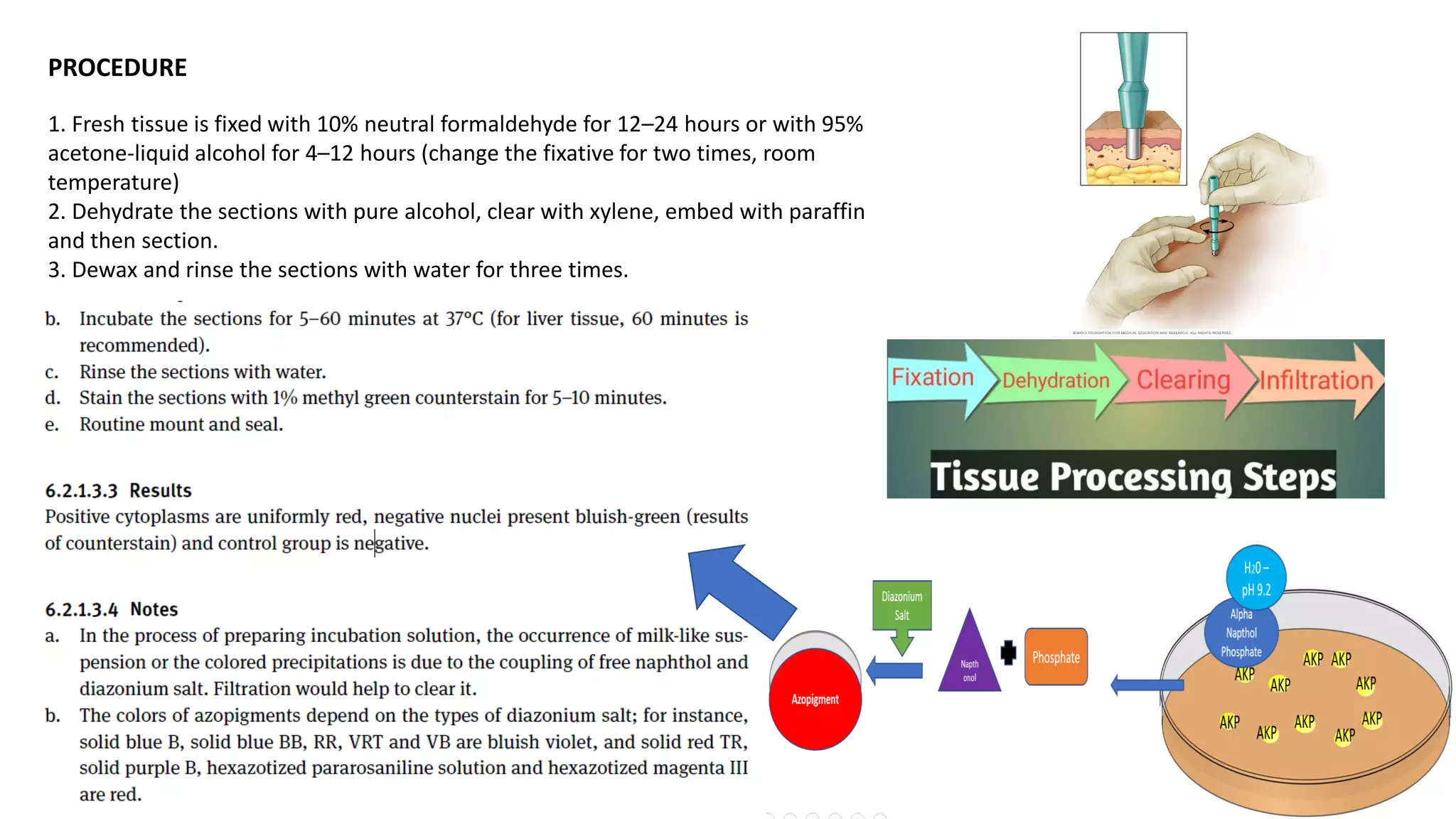 PROCEDURE
1. Fresh tissue is fixed with 10% neutral formaldehyde for 12–24 hours or with 95%
acetone-liquid alcohol for 4–12 hours (change the fixative for two times, room
temperature)
2. Dehydrate the sections with pure alcohol, clear with xylene, embed with paraffin
and then section.
3. Dewax and rinse the sections with water for three times.
 