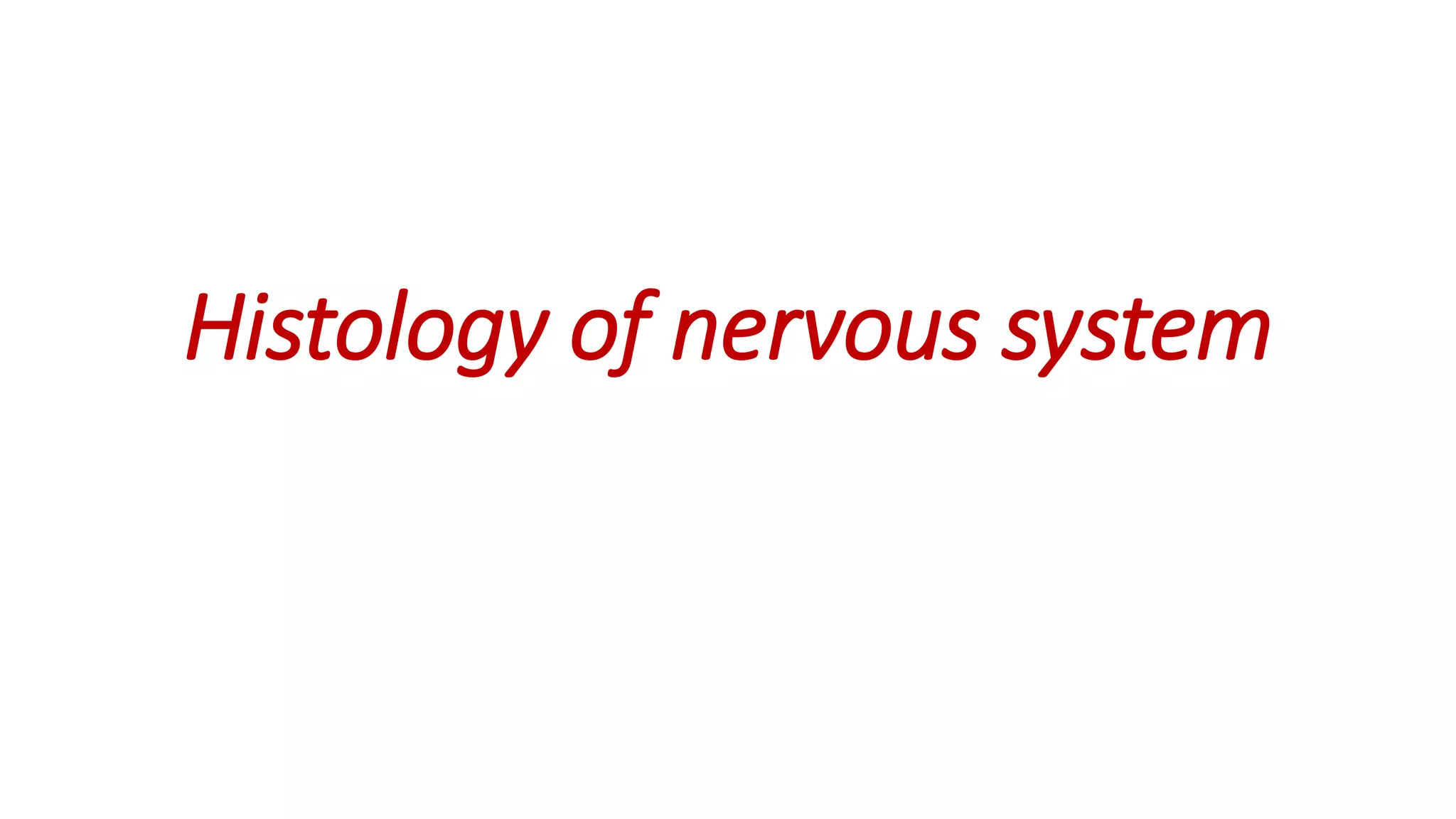 Histology of nervous system
 