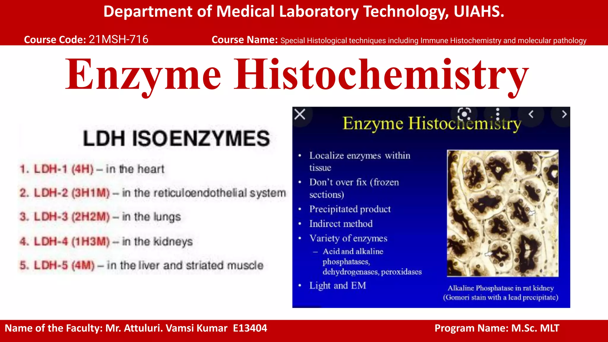 Enzyme histochemistry.pdf