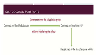 ENZYME HISTOCHEMISTRY.................pptx