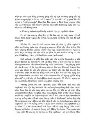 33


tiếp tục làm sạch bằng phương pháp sắc ký cột. Phương pháp sắc ký
(chromatography) là do hai chữ "chroma" là màu sắc và " grapho" là viết,
nghĩa là "viết bằng màu". Thuở ban đầu, người ta đã sử dụng phương pháp
sắc ký để tách các chất màu và chỉ sau này người ta mới áp dụng cho việc
tách các chất không màu.
     a. Phương pháp dùng chất rây phân tử (lọc gel - gel filtration)
     Cơ sở của phương pháp lọc gel là dựa vào sự khác nhau về kích
thước hình dạng và phân tử lượng của enzyme có trong hỗn hợp để tách
chúng ra.
      Để đảm bảo cho việc tách enzyme được tốt, chất rây phân tử phải là
chất trơ, không phản ứng với protein enzyme. Chất này cũng không hòa
tan và tương đối bền với các yếu tố về cơ học cũng như sinh học. Ngoài ra
chất được sử dụng cho mục đích lọc phân tử phải là chất không có tính
đàn hồi (không co) và phải là chất ưa nước (hydrophyl).
      Gel sephadex là chất thoả mãn các yếu tố trên. Sephadex là chế
phẩm dextran do các loài vi sinh vật khác nhau là Leuconostoc tạo ra khi
chúng được nuôi cấy trên môi trường chứa saccharose. Trọng lượng phân
tử của dextran có thể đạt tới hàng triệu và lớn hơn. Phân tử dextran bao
gồm các chuỗi do các gốc glucose tạo thành các liên kết glucsid 1,6.
Sephadex nhận từ dextran bằng cách xử lý hóa học (do tác dụng của
epichlohidrin) để tạo ra các lưới phân nhánh có liên kết ngang gọi là "sàng
phân tử" và chất này trở thành không tan trong nước. Số liên kết ngang tạo
ra càng nhiều, kích thước của lỗ sàng phân tử càng nhỏ.
      Phương pháp lọc trên sephadex được tiến hành như sau: cho
sephadex vào cột thủy tinh dài và cân bằng bằng dung dịch đệm có pH
nhất định. Sau đó cho dung dịch enzyme lên cột. Khi lọc và chiết bằng
dung môi thích hợp, các phân tử có trọng lượng phân tử nhỏ (ở đây là các
muối) sẽ khuyếch tán chậm chạp qua các lỗ nhỏ của các hạt Sephadex bị
trương phồng, còn chất có trọng lượng phân tử lớn hơn (ở trường hợp này
là protein enzyme ) không có khả năng đi vào mà lách nhanh qua các hạt
sephadex và sẽ rơi xuống trước, sẽ được chiết nhanh ra khỏi cột (Hình 2.2.
và hình 2.3.). Vì vậy ta có thể tách được chất có trọng lượng phân tử cao
hơn ra khỏi chất có phân tử lượng nhỏ. Hãng Sephadex (Pharmacia) của
Thuỵ Điển đã tung ra thị trường các loại sephadex có kích thước khác
 