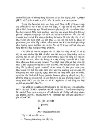 38


được tiến hành với những dung dịch đệm có lực ion thấp (0,005 - 0,1M) ở
pH 7,5 - 8,5, (các protein acid có chứa các amino acid monoamin).
      Trong hỗn hợp chất ionit với dung dịch đệm có độ pH tương ứng,
các chất ionit đã nói ở trên trở nên tích điện,. Vì vậy trên bề mặt lớp chất
giá sẽ hình thành một lớp điện tích có dấu phụ thuộc vào kiểu nhóm chức
hóa học của nó. Nếu thêm protein - enzyme vào dung dịch đệm thì các
phân tử enzyme mang điện tích sẽ bị các nhóm tích điện trái dấu của chất
trao đổi ion kéo lại. Khi dùng một dung dịch đệm để phản hấp phụ có pH
khác hoặc khi thêm một loại ion khác có lực ion lớn hơn thì phân tử
protein enzyme sẽ bị đẩy ra khỏi chất trao đổi ion. Khi tiến hành phản hấp
phụ, thường người ta thêm vào các ion Na+ và Cl- trong NaCl có nồng độ
tăng dần theo bậc thang hay theo gradient.
      Các phân tử protein enzyme nào có điện tích tổng số nhỏ thì sẽ bị
đẩy ra trước do lực liên kết với chất trao đổi ion yếu. Còn những protein
enzyme nào có liên kết với ionit lớn hơn thì sẽ bị đẩy ra bằng một lực ion
của muối lớn hơn. Như vậy, bằng cách này, chúng ta có thể tách được
từng phần các loại protein enzyme. Việc tách từng phần có lựa chọn tốt
nhất là khi tăng dần nồng độ các ion thay thế. Nhờ nồng độ ion của muối
tăng dần (gradient) người ta có thể rút ra từ cột các loại protein enzyme
khác nhau. Có thể thu nhận dịch chiết enzyme protein sau khi qua cột
bằng máy thu phân đoạn tự động. Theo thứ tự từng phần dịch thu được,
người ta tiến hành định lượng protein theo các phương pháp Lowry hay
phương pháp đo quang phổ và xác định hoạt độ của enzyme. Ngoài việc
dùng muối NaCl cho các ion Na+ và Cl-, người ta có thể dùng các loại
muối khác như KCl, Na3PO4.
      Nếu chất giá là sephadex thì chúng ta có chất trao đổi ion sephadex.
Đó là các loại DEAE - sephadex và CM - sephadex. Ưu điểm của loại này
là vừa tách được protein enzyme về kích thước và về điện tích tổng số của
các protein enzyme. Trường hợp CM - sephadex trên chất giá sephadex có
gắn nhóm COO-
                       - O - CH2 - COOH
                            phân ly


                       COO - (mang điện tích âm)
     Đây là chất trao đổi cation.
     c. Phương pháp dùng chất hấp phụ
 