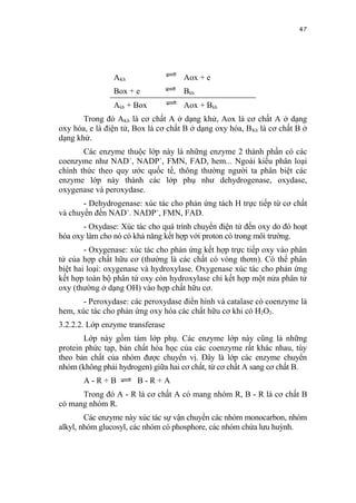 47




                AKh                  Aox + e
                Box + e              Bkh
                Akh + Box            Aox + Bkh
       Trong đó AKh là cơ chất A ở dạng khử, Aox là cơ chất A ở dạng
oxy hóa, e là điện tử, Box là cơ chất B ở dạng oxy hóa, B Kh là cơ chất B ở
dạng khử.
       Các enzyme thuộc lớp này là những enzyme 2 thành phần có các
coenzyme như NAD+, NADP+, FMN, FAD, hem... Ngoài kiểu phân loại
chính thức theo quy ước quốc tế, thông thường người ta phân biệt các
enzyme lớp này thành các lớp phụ như dehydrogenase, oxydase,
oxygenase và peroxydase.
       - Dehydrogenase: xúc tác cho phản ứng tách H trực tiếp từ cơ chất
và chuyển đến NAD+. NADP+, FMN, FAD.
       - Oxydase: Xúc tác cho quá trình chuyển điện tử đến oxy do đó hoạt
hóa oxy làm cho nó có khả năng kết hợp với proton có trong môi trường.
        - Oxygenase: xúc tác cho phản ứng kết hợp trực tiếp oxy vào phân
tử của hợp chất hữu cơ (thường là các chất có vòng thơm). Có thể phân
biệt hai loại: oxygenase và hydroxylase. Oxygenase xúc tác cho phản ứng
kết hợp toàn bộ phân tử oxy còn hydroxylase chỉ kết hợp một nửa phân tử
oxy (thường ở dạng OH) vào hợp chất hữu cơ.
       - Peroxydase: các peroxydase điển hình và catalase có coenzyme là
hem, xúc tác cho phản ứng oxy hóa các chất hữu cơ khi có H2O2.
3.2.2.2. Lớp enzyme transferase
       Lớp này gồm tám lớp phụ. Các enzyme lớp này cũng là những
protein phức tạp, bản chất hóa học của các coenzyme rất khác nhau, tùy
theo bản chất của nhóm được chuyển vị. Đây là lớp các enzyme chuyển
nhóm (không phải hydrogen) giữa hai cơ chất, từ cơ chất A sang cơ chất B.
       A-R+B           B-R+A
      Trong đó A - R là cơ chất A có mang nhóm R, B - R là cơ chất B
có mang nhóm R.
        Các enzyme này xúc tác sự vận chuyển các nhóm monocarbon, nhóm
alkyl, nhóm glucosyl, các nhóm có phosphore, các nhóm chứa lưu huỳnh.
 