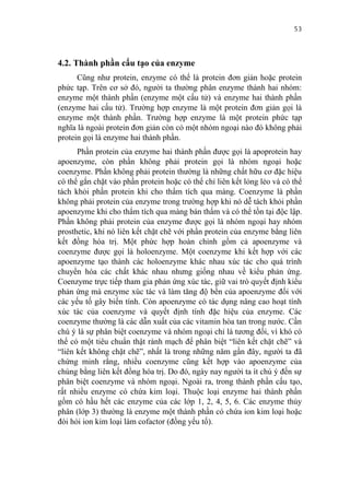 53


4.2. Thành phần cấu tạo của enzyme
      Cũng như protein, enzyme có thể là protein đơn giản hoặc protein
phức tạp. Trên cơ sở đó, người ta thường phân enzyme thành hai nhóm:
enzyme một thành phần (enzyme một cấu tử) và enzyme hai thành phần
(enzyme hai cấu tử). Trường hợp enzyme là một protein đơn giản gọi là
enzyme một thành phần. Trường hợp enzyme là một protein phức tạp
nghĩa là ngoài protein đơn giản còn có một nhóm ngoại nào đó không phải
protein gọi là enzyme hai thành phần.
      Phần protein của enzyme hai thành phần được gọi là apoprotein hay
apoenzyme, còn phần không phải protein gọi là nhóm ngoại hoặc
coenzyme. Phần không phải protein thường là những chất hữu cơ đặc hiệu
có thể gắn chặt vào phần protein hoặc có thể chỉ liên kết lỏng lẻo và có thể
tách khỏi phần protein khi cho thẩm tích qua màng. Coenzyme là phần
không phải protein của enzyme trong trường hợp khi nó dễ tách khỏi phần
apoenzyme khi cho thẩm tích qua màng bán thấm và có thể tồn tại độc lập.
Phần không phải protein của enzyme được gọi là nhóm ngoại hay nhóm
prosthetic, khi nó liên kết chặt chẽ với phần protein của enzyme bằng liên
kết đồng hóa trị. Một phức hợp hoàn chỉnh gồm cả apoenzyme và
coenzyme được gọi là holoenzyme. Một coenzyme khi kết hợp với các
apoenzyme tạo thành các holoenzyme khác nhau xúc tác cho quá trình
chuyển hóa các chất khác nhau nhưng giống nhau về kiểu phản ứng.
Coenzyme trực tiếp tham gia phản ứng xúc tác, giữ vai trò quyết định kiểu
phản ứng mà enzyme xúc tác và làm tăng độ bền của apoenzyme đối với
các yếu tố gây biến tính. Còn apoenzyme có tác dụng nâng cao hoạt tính
xúc tác của coenzyme và quyết định tính đặc hiệu của enzyme. Các
coenzyme thường là các dẫn xuất của các vitamin hòa tan trong nước. Cần
chú ý là sự phân biệt coenzyme và nhóm ngoại chỉ là tương đối, vì khó có
thể có một tiêu chuẩn thật rành mạch để phân biệt “liên kết chặt chẽ” và
“liên kết không chặt chẽ”, nhất là trong những năm gần đây, người ta đã
chứng minh rằng, nhiều coenzyme cũng kết hợp vào apoenzyme của
chúng bằng liên kết đồng hóa trị. Do đó, ngày nay người ta ít chú ý đến sự
phân biệt coenzyme và nhóm ngoại. Ngoài ra, trong thành phần cấu tạo,
rất nhiều enzyme có chứa kim loại. Thuộc loại enzyme hai thành phần
gồm có hầu hết các enzyme của các lớp 1, 2, 4, 5, 6. Các enzyme thủy
phân (lớp 3) thường là enzyme một thành phần có chứa ion kim loại hoặc
đòi hỏi ion kim loại làm cofactor (đồng yếu tố).
 