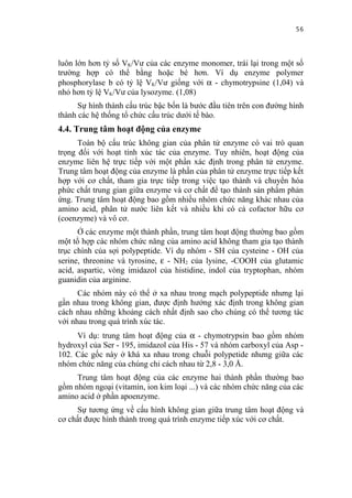 56


luôn lớn hơn tỷ số VK/Vư của các enzyme monomer, trái lại trong một số
trường hợp có thể bằng hoặc bé hơn. Ví dụ enzyme polymer
phosphorylase b có tỷ lệ VK/Vư giống với α - chymotrypsine (1,04) và
nhỏ hơn tỷ lệ VK/Vư của lysozyme. (1,08)
      Sự hình thành cấu trúc bậc bốn là bước đầu tiên trên con đường hình
thành các hệ thống tổ chức cấu trúc dưới tế bào.
4.4. Trung tâm hoạt động của enzyme
      Toàn bộ cấu trúc không gian của phân tử enzyme có vai trò quan
trọng đối với hoạt tính xúc tác của enzyme. Tuy nhiên, hoạt động của
enzyme liên hệ trực tiếp với một phần xác định trong phân tử enzyme.
Trung tâm hoạt động của enzyme là phần của phân tử enzyme trực tiếp kết
hợp với cơ chất, tham gia trực tiếp trong việc tạo thành và chuyển hóa
phức chất trung gian giữa enzyme và cơ chất để tạo thành sản phẩm phản
ứng. Trung tâm hoạt động bao gồm nhiều nhóm chức năng khác nhau của
amino acid, phân tử nước liên kết và nhiều khi có cả cofactor hữu cơ
(coenzyme) và vô cơ.
      Ở các enzyme một thành phần, trung tâm hoạt động thường bao gồm
một tổ hợp các nhóm chức năng của amino acid không tham gia tạo thành
trục chính của sợi polypeptide. Ví dụ nhóm - SH của cysteine - OH của
serine, threonine và tyrosine, ε - NH2 của lysine, -COOH của glutamic
acid, aspartic, vòng imidazol của histidine, indol của tryptophan, nhóm
guanidin của arginine.
      Các nhóm này có thể ở xa nhau trong mạch polypeptide nhưng lại
gần nhau trong không gian, được định hướng xác định trong không gian
cách nhau những khoảng cách nhất định sao cho chúng có thể tương tác
với nhau trong quá trình xúc tác.
     Ví dụ: trung tâm hoạt động của α - chymotrypsin bao gồm nhóm
hydroxyl của Ser - 195, imidazol của His - 57 và nhóm carboxyl của Asp -
102. Các gốc này ở khá xa nhau trong chuỗi polypetide nhưng giữa các
nhóm chức năng của chúng chỉ cách nhau từ 2,8 - 3,0 Å.
     Trung tâm hoạt động của các enzyme hai thành phần thường bao
gồm nhóm ngoại (vitamin, ion kim loại ...) và các nhóm chức năng của các
amino acid ở phần apoenzyme.
     Sự tương ứng về cấu hình không gian giữa trung tâm hoạt động và
cơ chất được hình thành trong quá trình enzyme tiếp xúc với cơ chất.
 