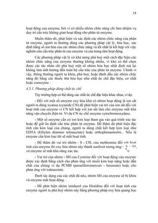 58


hoạt động của enzyme, bởi vì có nhiều nhóm chức năng chỉ làm nhiệm vụ
duy trì cấu trúc không gian hoạt động cho phân tử enzyme.
      Muốn thăm dò, phát hiện và xác định các nhóm chức năng của phân
tử enzyme, người ta thường dùng các phương pháp vật lý, hóa học, xác
định hằng số ion hóa của các nhóm chức năng và tốt nhất là kết hợp với việc
nghiên cứu cấu trúc phân tử của enzyme và của trung tâm hoạt động.
      Các phương pháp vật lý có khả nưng phá huỷ một cách đặc hiệu các
nhóm chức năng của enzyme thường không nhiều, vì khó có thể chọn
được các tác nhân chỉ phá huỷ một số nhóm hóa học nhất định mà lại
không làm ảnh hưởng đến toàn bộ cấu trúc của phân tử enzyme. Chính vì
vậy, thông thường người ta khóa, phá huỷ, hoặc đánh dấu các nhóm chức
năng đó bằng các thuốc thử hóa học như chất ức chế đặc hiệu, cơ chất
hoặc coenzyme .
4.5.1. Phương pháp dùng chất ức chế
     Tùy trường hợp có thể dùng các chất ức chế đặc hiệu khác nhau, ví dụ:
      - Đối với một số enzyme oxy hóa khử có nhóm hoạt động là ion sắt
người ta dùng xyanua (cyanide CN) để phát hiện vai trò của ion sắt đối với
hoạt tính của enzyme vì CN kết hợp với ion sắt làm cho enzyme mất khả
năng vận chuyển điện tử. Ví dụ CN ức chế enzyme cytochromoxydase.
      - Một số enzyme cần có ion kim loại tham gia vào quá trình xúc tác
hoặc để giữ ổn định cấu trúc phân tử enzyme. Để thăm dò phát hiện đặc
tính cần kim loại của chúng, người ta dùng chất kết hợp kim loại như
EDTA (Ethylen diamino tetraacetate) hoặc orthophenantrolin... Nếu là
enzyme cần kim loại thì sẽ mất hoạt tính.
      - Để thăm dò vai trò nhóm - S - CH 3 của methionine đối với hoạt
tính của enzyme thì oxy hóa nhóm này thành sunfoxit tương ứng: - S - CH3
và enzyme sẽ mất khả năng xúc tác.                                O
      - Vai trò của nhóm - SH của Cysteine đối với hoạt động của enzyme
được xác định bằng cách cho phản ứng với muối kim loại nặng hoặc dẫn
chất của chúng ví dụ PCMB (parachloromercuri - benzoate) hoặc cho
phản ứng với iodoacetate.
     Dưới tác dụng của các chất đã nêu, nhóm SH của enzyme sẽ bị khóa
và enzyme mất hoạt động.
     - Để phát hiện nhóm imidazol của Histidine đối với hoạt tính của
enzyme người ta phá huỷ nhóm này bằng phương pháp oxy hóa quang học
 