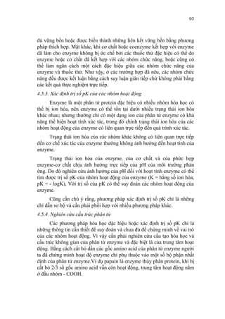 60


đủ vững bền hoặc được biến thành những liên kết vững bền bằng phương
pháp thích hợp. Mặt khác, khi cơ chất hoặc coenzyme kết hợp với enzyme
đã làm cho enzyme không bị ức chế bởi các thuốc thử đặc hiệu có thể do
enzyme hoặc cơ chất đã kết hợp với các nhóm chức năng, hoặc cũng có
thể làm ngăn cách một cách đặc hiệu giữa các nhóm chức năng của
enzyme và thuốc thử. Như vậy, ở các trường hợp đã nêu, các nhóm chức
năng đều được kết luận bằng cách suy luận gián tiếp chứ không phải bằng
các kết quả thực nghiệm trực tiếp.
4.5.3. Xác định trị số pK của các nhóm hoạt động
      Enzyme là một phân tử protein đặc hiệu có nhiều nhóm hóa học có
thể bị ion hóa, nên enzyme có thể tồn tại dưới nhiều trạng thái ion hóa
khác nhau; nhưng thường chỉ có một dạng ion của phân tử enzyme có khả
năng thể hiện hoạt tính xúc tác, trong đó chính trạng thái ion hóa của các
nhóm hoạt động của enzyme có liên quan trực tiếp đến quá trình xúc tác.
     Trạng thái ion hóa của các nhóm khác không có liên quan trực tiếp
đến cơ chế xúc tác của enzyme thường không ảnh hưởng đến hoạt tính của
enzyme.
     Trạng thái ion hóa của enzyme, của cơ chất và của phức hợp
enzyme-cơ chất chịu ảnh hưởng trực tiếp của pH của môi trường phản
ứng. Do đó nghiên cứu ảnh hưởng của pH đối với hoạt tính enzyme có thể
tìm được trị số pK của nhóm hoạt động của enzyme (K = hằng số ion hóa,
pK = - logK), Với trị số của pK có thể suy đoán các nhóm hoạt động của
enzyme.
      Cũng cần chú ý rằng, phương pháp xác định trị số pK chỉ là những
chỉ dẫn sơ bộ và cần phải phối hợp với nhiều phương pháp khác.
4.5.4. Nghiên cứu cấu trúc phân tử
      Các phương pháp hóa học đặc hiệu hoặc xác định trị số pK chỉ là
những thông tin cần thiết để suy đoán và chưa đủ để chứng minh về vai trò
của các nhóm hoạt động. Vì vậy cần phải nghiên cứu cấu tạo hóa học và
cấu trúc không gian của phân tử enzyme và đặc biệt là của trung tâm hoạt
động. Bằng cách cắt bỏ dần các gốc amino acid của phân tử enzyme người
ta đã chứng minh hoạt độ enzyme chỉ phụ thuộc vào một số bộ phận nhất
định của phân tử enzyme.Ví dụ papain là enzyme thủy phân protein, khi bị
cắt bỏ 2/3 số gốc amino acid vẫn còn hoạt động, trung tâm hoạt động nằm
ở đầu nhóm - COOH.
 