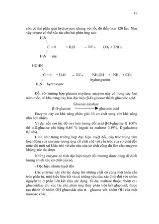 65


còn có thể phân giải hydroxyure nhưng với tốc độ thấp hơn 120 lần. Như
vậy urease có thể xúc tác cho hai phản ứng sau:
         H2N
             
              C=0          + H2O        urease →
                                                CO2 + 2NH3
             /
         H2N ure

   HOHN
       
        C = 0 + H2O            urease →
                                          NH2OH + NH3 + CO2
       /                                   hydroxyamin
    H2N hydroxyure

     Đối với trường hợp glucose oxydase: enzyme này có trong các loại
nấm mốc, có khả năng oxy hóa đặc hiệu β-D-glucose thành gluconic acid
                               Glucose oxydase
                 β-D-glucose                    gluconic acid
      Enzyme này có khả năng phân giải 10 cơ chất song với khả năng
nhỏ hơn nhiều.
      Ví dụ: nếu coi tốc độ oxy hóa tương đối acid β-D-glucose là 100%
thì α.D.glucose chỉ bằng 0,64 % (ngoài ra maltose 0,19%, D.galactose
0,14%).
      Hình như trong trường hợp đặc hiệu tuyệt đối, cấu trúc trung tâm
hoạt động của enzyme tương ứng rất chặt chẽ với cấu trúc của cơ chất đến
mức chỉ một sai khác nhỏ về cấu trúc của cơ chất cũng đủ làm cho enzyme
không xúc tác được.
     Những enzyme có tính đặc hiệu tuyệt đối thường được dùng để định
lượng chính xác cơ chất của nó.
     - Đặc hiệu nhóm tuyệt đối
      Các enzyme này chỉ tác dụng lên những chất có cùng một kiểu cấu
trúc phân tử, một kiểu liên kết và có những yêu cầu xác định đối với nhóm
nguyên tử ở phần liên kết chịu tác dụng. Ví dụ: maltase thuộc nhóm α -
glucosidase chỉ xúc tác cho phản ứng thủy phân liên kết glucoside được
tạo thành từ nhóm OH glucoside của α - glucose với nhóm OH của một
monose khác.
 