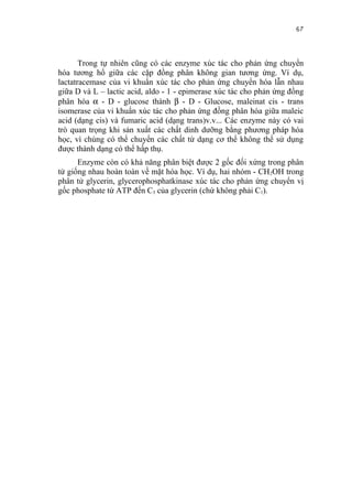 67


       Trong tự nhiên cũng có các enzyme xúc tác cho phản ứng chuyển
hóa tương hổ giữa các cặp đồng phân không gian tương ứng. Ví dụ,
lactatracemase của vi khuẩn xúc tác cho phản ứng chuyển hóa lẫn nhau
giữa D và L – lactic acid, aldo - 1 - epimerase xúc tác cho phản ứng đồng
phân hóa α - D - glucose thành β - D - Glucose, maleinat cis - trans
isomerase của vi khuẩn xúc tác cho phản ứng đồng phân hóa giữa maleic
acid (dạng cis) và fumaric acid (dạng trans)v.v... Các enzyme này có vai
trò quan trọng khi sản xuất các chất dinh dưỡng bằng phương pháp hóa
học, vì chúng có thể chuyển các chất từ dạng cơ thể không thể sử dụng
được thành dạng có thể hấp thụ.
      Enzyme còn có khả năng phân biệt được 2 gốc đối xứng trong phân
tử giống nhau hoàn toàn về mặt hóa học. Ví dụ, hai nhóm - CH2OH trong
phân tử glycerin, glycerophosphatkinase xúc tác cho phản ứng chuyển vị
gốc phosphate từ ATP đến C3 của glycerin (chứ không phải C1).
 