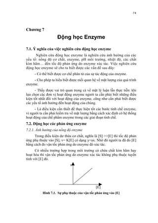 74


Chương 7
                    Động học Enzyme

7.1. Ý nghĩa của việc nghiên cứu động học enzyme
      Nghiên cứu động học enzyme là nghiên cứu ảnh hưởng của các
yếu tố: nồng độ cơ chất, enzyme, pH môi trường, nhiệt độ, các chất
kìm hãm… đến tốc độ phản ứng do enzyme xúc tác. Việc nghiên cứu
động học enzyme sẽ cho ta biết được các vấn đề sau đây:
     - Có thể biết được cơ chế phân tử của sự tác động của enzyme.
     - Cho phép ta hiểu biết được mối quan hệ về mặt lượng của quá trình
enzyme.
      - Thấy được vai trò quan trọng cả về mặt lý luận lẫn thực tiễn: khi
lựa chọn các đơn vị hoạt động enzyme người ta cần phải biết những điều
kiện tốt nhất đối với hoạt động của enzyme, cũng như cần phải biết được
các yếu tố ảnh hưởng đến hoạt động của chúng.
      - Là điều kiện cần thiết để thực hiện tốt các bước tinh chế enzyme,
vì người ta cần phải kiểm tra về mặt lượng bằng cách xác định có hệ thống
hoạt động của chế phẩm enzyme trong các giai đoạn tinh chế.
7.2. Động học các phản ứng enzyme
7.2.1. Ảnh hưởng của nồng độ enzyme
     Trong điều kiện dư thừa cơ chất, nghĩa là [S] >>[E] thì tốc độ phản
ứng phụ thuộc vào [S], v= K[E] có dạng y=ax. Nhờ đó người ta đã đo [E]
bằng cách đo vận tốc phản ứng do enzyme đó xúc tác.
      Có nhiều trường hợp trong môi trường có chứa chất kìm hãm hay
hoạt hóa thì vận tốc phản ứng do enzyme xúc tác không phụ thuộc tuyến
tính với [E] đó.
                             v




                                              [E]
           Hình 7.1. Sự phụ thuộc của vận tốc phản ứng vào [E]
 