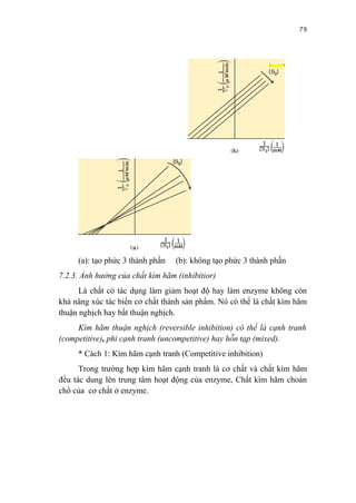 79




     (a): tạo phức 3 thành phần   (b): không tạo phức 3 thành phần
7.2.3. Ảnh hưởng của chất kìm hãm (inhibitior)
      Là chất có tác dụng làm giảm hoạt độ hay làm enzyme không còn
khả nâng xúc tác biến cơ chất thành sản phẩm. Nó có thể là chất kìm hãm
thuận nghịch hay bất thuận nghịch.
     Kìm hãm thuận nghịch (reversible inhibition) có thể là cạnh tranh
(competitive), phi cạnh tranh (uncompetitive) hay hỗn tạp (mixed).
     * Cách 1: Kìm hãm cạnh tranh (Competitive inhibition)
      Trong trường hợp kìm hãm cạnh tranh là cơ chất và chất kìm hãm
đều tác dung lên trung tâm hoạt động của enzyme, Chất kìm hãm choán
chổ của cơ chất ở enzyme.
 