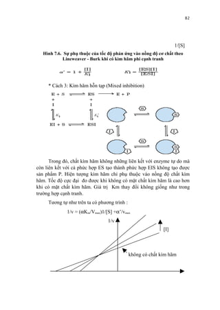 82



                                                                   1/[S]
   Hình 7.6. Sự phụ thuộc của tốc độ phản ứng vào nồng độ cơ chất theo
             Lineweaver - Burk khi có kìm hãm phi cạnh tranh




     * Cách 3: Kìm hãm hỗn tạp (Mixed inhibition)




      Trong đó, chất kìm hãm không những liên kết với enzyme tự do mà
còn liên kết với cả phức hợp ES tạo thành phức hợp EIS không tạo được
sản phẩm P. Hiện tượng kìm hãm chỉ phụ thuộc vào nồng độ chất kìm
hãm. Tốc độ cực đại đo được khi không có mặt chất kìm hãm là cao hơn
khi có mặt chất kìm hãm. Giá trị Km thay đổi không giống như trong
trường hợp cạnh tranh.
     Tương tự như trên ta có phương trình :
              1/v = (αKm/Vmax)1/[S] +α’/vmax
                                  1/v
                                                             [I]



                                              không có chất kìm hãm
 