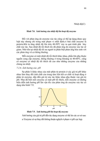 88




                                                             Nhiệt độ(C)


          Hình 7.8. Ảnh hưởng của nhiệt độ lên hoạt độ enzyme


      Đối với phản ứng do enzyme xúc tác cũng có thể áp dụng được quy
luật này nhưng chỉ trong một phạm vi nhất định,vì bản chất enzyme là
protein.Khi ta tăng nhiệt độ lên trên 40-500C xảy ra quá trình phá hủy
chất xúc tác. Sau nhiệt độ tối thích tốc độ phản ứng do enzyme xúc tác sẽ
giảm. Nhờ tồn tại nhiệt độ tối ưu người ta phân biệt phản ứng hóa sinh với
các phản ứng vô cơ thông thường.
     Mỗi enzyme có một nhiệt độ tối thích khác nhau, phần lớn phụ thuộc
nguồn cung cấp enzyme, thông thường ở trong khoảng từ 40-60 0C, cũng
có enzyme có nhiệt độ tối thích rất cao như những enzyme của những
chủng ưa nhiệt.
7.2.6. Ảnh hưởng của pH
      Sự phân li khác nhau của một phân tử protein ở các giá trị pH khác
nhau làm thay đổi tính chất của trung tâm liên kết cơ chất và hoạt động ở
phân tử enzyme, dẩn đến giá trị xúc tác khác nhau phụ thuộc vào giá trị
pH. Như đã biết mỗi enzyme có một pH tối thích, mỗi enzyme có đường
biểu diễn ảnh hưởng pH lên vận tốc của phản ứng do enzyme xúc tác có
dạng như hình 7.9:




           Hình 7.9. Ảnh hưởng pH lên hoạt độ enzyme
     Ảnh hưởng của giá trị pH đến tác dụng enzyme có thể do các cơ sở sau:
     a/ Enzyme có sự thay đổi không thuận nghịch ở phạm vi pH cực hẹp.
 