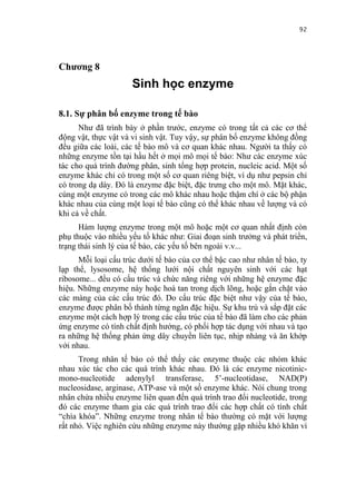 92


Chương 8
                     Sinh học enzyme

8.1. Sự phân bố enzyme trong tế bào
      Như đã trình bày ở phần trước, enzyme có trong tất cả các cơ thể
động vật, thực vật và vi sinh vật. Tuy vậy, sự phân bố enzyme không đồng
đều giữa các loài, các tế bào mô và cơ quan khác nhau. Người ta thấy có
những enzyme tồn tại hầu hết ở mọi mô mọi tế bào: Như các enzyme xúc
tác cho quá trình đường phân, sinh tổng hợp protein, nucleic acid. Một số
enzyme khác chỉ có trong một số cơ quan riêng biệt, ví dụ như pepsin chỉ
có trong dạ dày. Đó là enzyme đặc biệt, đặc trưng cho một mô. Mặt khác,
cùng một enzyme có trong các mô khác nhau hoặc thậm chí ở các bộ phận
khác nhau của cùng một loại tế bào cũng có thể khác nhau về lượng và có
khi cả về chất.
      Hàm lượng enzyme trong một mô hoặc một cơ quan nhất định còn
phụ thuộc vào nhiều yếu tố khác như: Giai đoạn sinh trưởng và phát triển,
trạng thái sinh lý của tế bào, các yếu tố bên ngoài v.v...
      Mỗi loại cấu trúc dưới tế bào của cơ thể bậc cao như nhân tế bào, ty
lạp thể, lysosome, hệ thống lưới nội chất nguyên sinh với các hạt
ribosome... đều có cấu trúc và chức năng riêng với những hệ enzyme đặc
hiệu. Những enzyme này hoặc hoà tan trong dịch lõng, hoặc gắn chặt vào
các màng của các cấu trúc đó. Do cấu trúc đặc biệt như vậy của tế bào,
enzyme được phân bố thành từng ngăn đặc hiệu. Sự khu trú và sắp đặt các
enzyme một cách hợp lý trong các cấu trúc của tế bào đã làm cho các phản
ứng enzyme có tính chất định hướng, có phối hợp tác dụng với nhau và tạo
ra những hệ thống phản ứng dây chuyền liên tục, nhịp nhàng và ăn khớp
với nhau.
      Trong nhân tế bào có thể thấy các enzyme thuộc các nhóm khác
nhau xúc tác cho các quá trình khác nhau. Đó là các enzyme nicotinic-
mono-nucleotide adenylyl transferase, 5’-nucleotidase, NAD(P)
nucleosidase, arginase, ATP-ase và một số enzyme khác. Nói chung trong
nhân chứa nhiều enzyme liên quan đến quá trình trao đổi nucleotide, trong
đó các enzyme tham gia các quá trình trao đổi các hợp chất có tính chất
“chìa khóa”. Những enzyme trong nhân tế bào thường có mặt với lượng
rất nhỏ. Việc nghiên cứu những enzyme này thường gặp nhiều khó khăn vì
 