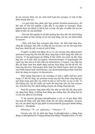99


do các enzyme khác xúc tác. Quá trình hoạt hóa zymigen có một số đặc
điểm chung như sau:
      - Là quá trình thủy phân giới hạn protein (limited proteolysis), cắt
đứt một số liên kết peptide ở gần đầu N của phân tử zymogen. Đoạn
peptide được tạo thành có thể bị loại ra hoặc vẫn gắn với phần còn lại của
phân tử nhờ các cầu disulfide.
      - Khi liên kết peptide bị cắt đứt thường làm thay đổi cấu hình không
gian của phân tử theo hướng có lợi cho hoạt động xúc tác, tạo thành phân
tử enzyme.
      - Hiệu suất hoạt hóa zymogen phụ thuộc vào điều kiện hoạt hóa,
nồng độ zymogen, bản chất và nồng độ của enzyme xúc tác cho quá trình
hoạt hóa, nhiệt độ, pH và một số yếu tố khác.
      Ở người và nhiều loài động vật có vú, các enzyme thủy phân protein
(protease) trong ống tiêu hóa đều được tổng hợp ra dưới dạng tiền chất của
enzyme. Ví dụ pepsinogen do những tế bào chính của tuyến dạ dày tổng
hợp nên và là tiền chất của pepsin, chymotrysinogen và trypsinogen của
tuyến tụy theo thứ tự là tiền chất của chymotrysin và trypsin. Các chất này
đều chỉ được hoạt hóa thành dạng enzyme hoạt động sau khi đã tiết vào
lòng ống tiêu hóa. Pepsinogen được hoạt hóa thành trypsin dưới tác dụng
của chính trypsin hoặc enterokinase, còn chymotrypsinogen được hoạt hóa
dưới tác dụng của trypsin và chymotrysin.
      Hiện tượng tổng hợp ra các zymogen có một ý nghĩa sinh học quan
trọng. Có thể nói rằng, các protease trong ống tiêu hóa được tổng hợp qua
giai đoạn trung gian như vậy chính là một cơ chế tự bảo vệ của cơ thể. Vì
nếu không như vậy thì chính các tuyến đã tổng hợp nên các loại enzyme
này sẽ bị tiêu hủy bởi chính những enzyme do chúng tổng hợp nên.
      Hoạt độ enzyme cũng được điều hòa nhờ sự biến đổi lẫn nhau giữa
các dạng hoạt động và không hoạt động qua những thay đổi đồng hóa trị
về cấu trúc phân tử của chúng.
     Ví dụ enzyme glycogen phosphorylase ở mô cơ và gan được điều
hòa hoạt độ bằng cách gắn thêm (hoặc lấy đi) nhóm phosphate. Enzyme
này xúc tác phản ứng bẻ gãy phân tử polysacharide glycogen thành những
glucose-1 - phosphate.
     (Glucose)n + Pi        (glucose)n-1 + Glucose-1 - P
     Enzyme này tồn tại dưới hai hạng là phosphorylase a (dạng hoạt
động) và phosphorylase b (dạng không hoạt động). Phosphorylase a là một
 