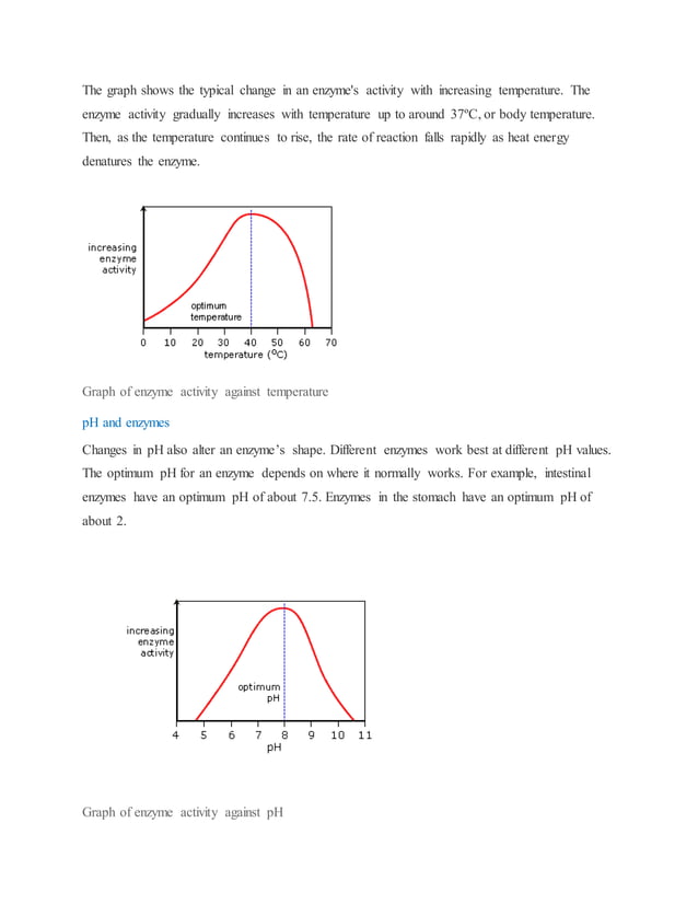 Enzyme hydrolysis of starch