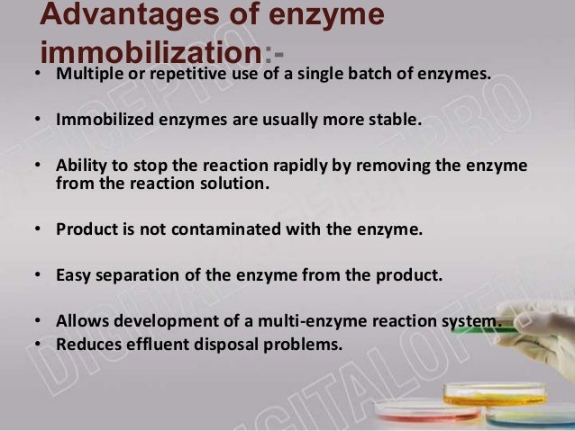 enzyme immobilization The main objective of the immobilization of enzymes is to enhance the economics of biocatalytic processes immobilization allows one to re-use the enzyme for an extended period of time and. enzyme immobilization The main objective of the immobilization of enzymes is to enhance the economics of biocatalytic processes immobilization allows one to re-use the enzyme for an extended period of time and.