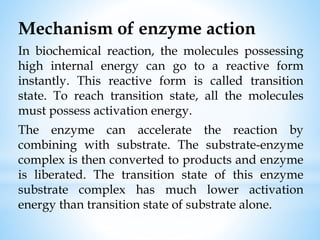 Mechanism of enzyme action
In biochemical reaction, the molecules possessing
high internal energy can go to a reactive form
instantly. This reactive form is called transition
state. To reach transition state, all the molecules
must possess activation energy.
The enzyme can accelerate the reaction by
combining with substrate. The substrate-enzyme
complex is then converted to products and enzyme
is liberated. The transition state of this enzyme
substrate complex has much lower activation
energy than transition state of substrate alone.
 