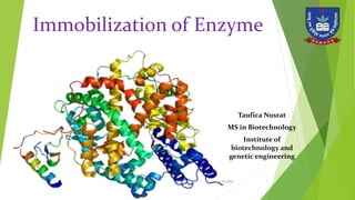 Immobilization of Enzyme
3/24/2020 1
Taufica Nusrat
MS in Biotechnology
Institute of
biotechnology and
genetic engineering
 