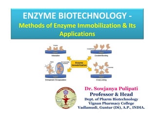 ENZYME BIOTECHNOLOGY -
Methods of Enzyme Immobilization & Its
Applications
Dr. Sowjanya Pulipati
Professor & Head
Dept. of Pharm Biotechnology
Vignan Pharmacy College
Vadlamudi, Guntur (Dt), A.P., INDIA.
 