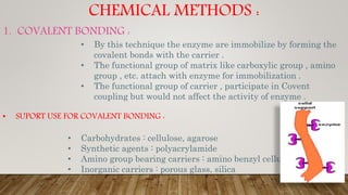 CHEMICAL METHODS :
1. COVALENT BONDING :
• By this technique the enzyme are immobilize by forming the
covalent bonds with the carrier .
• The functional group of matrix like carboxylic group , amino
group , etc. attach with enzyme for immobilization .
• The functional group of carrier , participate in Covent
coupling but would not affect the activity of enzyme .
• SUPORT USE FOR COVALENT BONDING :
• Carbohydrates : cellulose, agarose
• Synthetic agents : polyacrylamide
• Amino group bearing carriers : amino benzyl cellulose
• Inorganic carriers : porous glass, silica
 