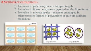 Methods of entrapment :
1. Inclusion in gels : enzyme are trapped in gels
2. Inclusion in fibres : enzymes supported on the fibre format
3. Inclusion in microcapsules : enzymes entrapped in
microcapsules formed of polyamines or calcium alginate
monomers
 