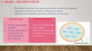 2. MICRO – ENCAPSULATION :
• Enclosing enzymes in a semi permeable membrane capsule
• Capsule is made up of nitro cellulose or nylon
• Effectiveness depend upon the stability of enzymes
ADVANTAGES
1. Cheap and simple
method
2. A large quantity of
enzyme can be
immobilized by
this method
DISADVANTAGES
1. Pore size limitation
2. Only small
substrate molecules
are able to cross the
membrane
 