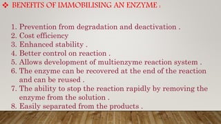  BENEFITS OF IMMOBILISING AN ENZYME :
1. Prevention from degradation and deactivation .
2. Cost efficiency
3. Enhanced stability .
4. Better control on reaction .
5. Allows development of multienzyme reaction system .
6. The enzyme can be recovered at the end of the reaction
and can be reused .
7. The ability to stop the reaction rapidly by removing the
enzyme from the solution .
8. Easily separated from the products .
 