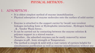 PHYSICAL METHODS :
1. ADSORPTION :
• It is oldest simplest method of enzyme immobilization .
• Physical adsorption of enzyme molecules onto the surface of solid carrier
.
• Enzyme is attached to the support carrier by (weak) non-covalent
linkages including Ionic or Hydrophobic interactions , Hydrogen bonding
, & , Vander Waals forces .
• It can be carried out by contacting between the enzyme solution &
polymer support in a stirred reactor .
• Therefore , the adsorbed enzymes can be easily removed by minor
changes in pH , Ionic strength or Temperature .
• The method is simple & mild with a vast variety of carriers helpful for
simultaneous purification as well as enzyme immobilization without any
conformation change .
 