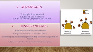 • ADVANTAGES :
1. Simple & economical
2. Limited loss of activity
3. Can be recycle , regenerated , reused
• DISADVANTAGES :
1. Relatively low surface area for binding
2. Exposure of enzyme to microbial attack
3. Smaller partials cause high pressure drop in continuous packed bed
reactor
4. Yield are often low due to inactivation & desorption
 