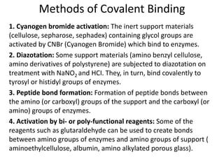 Methods of Covalent Binding
1. Cyanogen bromide activation: The inert support materials
(cellulose, sepharose, sephadex) containing glycol groups are
activated by CNBr (Cyanogen Bromide) which bind to enzymes.
2. Diazotation: Some support materials (amino benzyl cellulose,
amino derivatives of polystyrene) are subjected to diazotation on
treatment with NaNO2 and HCI. They, in turn, bind covalently to
tyrosyl or histidyl groups of enzymes.
3. Peptide bond formation: Formation of peptide bonds between
the amino (or carboxyl) groups of the support and the carboxyl (or
amino) groups of enzymes.
4. Activation by bi- or poly-functional reagents: Some of the
reagents such as glutaraldehyde can be used to create bonds
between amino groups of enzymes and amino groups of support (
aminoethylcellulose, albumin, amino alkylated porous glass).
 