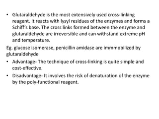 • Glutaraldehyde is the most extensively used cross-linking
reagent. It reacts with lysyl residues of the enzymes and forms a
Schiff’s base. The cross links formed between the enzyme and
glutaraldehyde are irreversible and can withstand extreme pH
and temperature.
Eg. glucose isomerase, penicillin amidase are immmobilized by
glutaraldehyde
• Advantage- The technique of cross-linking is quite simple and
cost-effective.
• Disadvantage- It involves the risk of denaturation of the enzyme
by the poly-functional reagent.
 