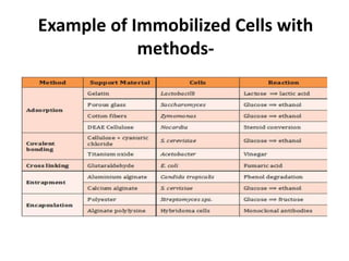 Example of Immobilized Cells with
methods-
 