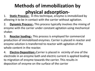 Methods of immobilization by
physical adsorption-
1. Static Process:- In this technique, enzyme is immobilized by
allowing it to be in contact with the carrier without agitation.
2. Dynamic Process:- This process typically involves the mixing of
enzyme with the carrier under constant agitation using mechanical
shaker.
3. Reactor loading:- This process is employed for commercial
production of immobilized enzymes. Carrier is placed in reactor and
enzyme solution is transferred to reactor with agitation of the
whole content in the reactor.
4. Electro-Deposition:-Carrier is placed in vicinity of one of the
electrode in an enzyme bath and electric current is applied leading
to migration of enzyme towards the carrier. This results in
deposition of enzyme on the surface of the carrier
 