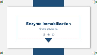 Enzyme Immobilization
Creative Enzymes Inc.
 