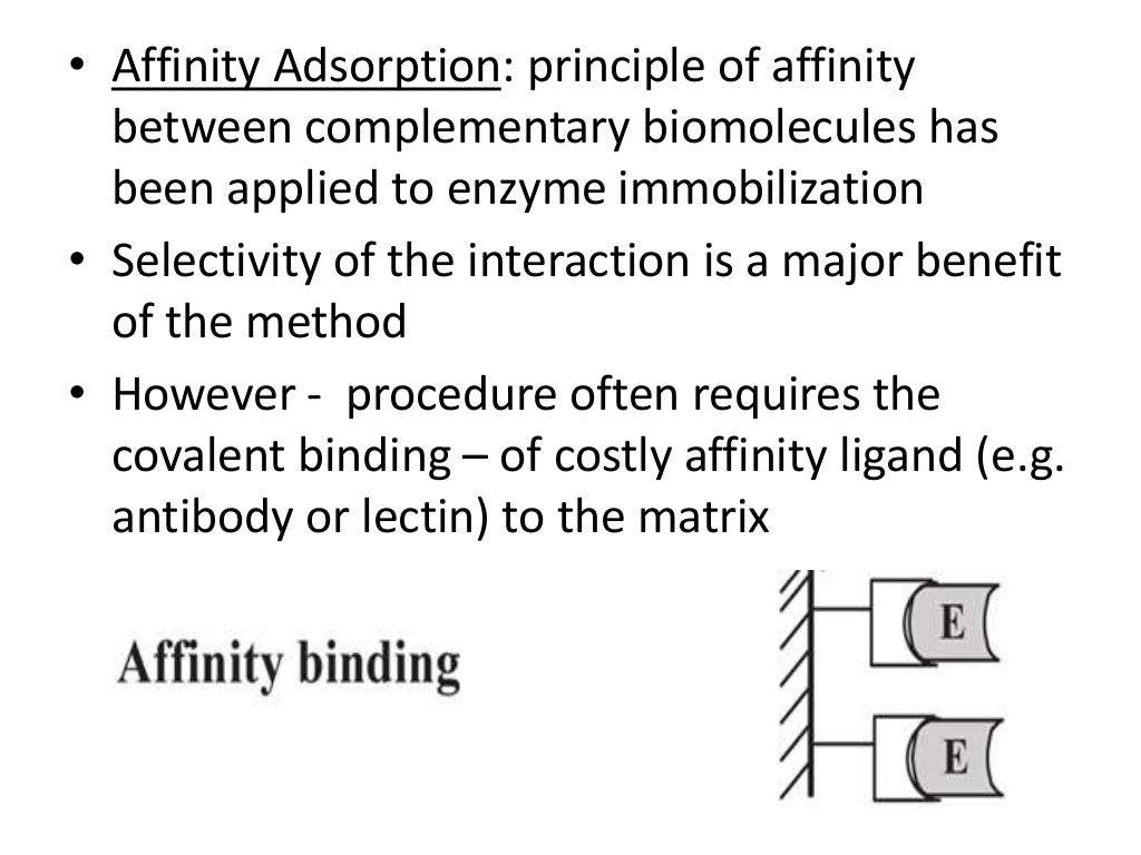 Enzyme Immobilization and Applications