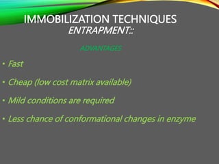 IMMOBILIZATION TECHNIQUES
ENTRAPMENT::
DISADVANTAGES
• Leakage of enzyme
• Pore diffusion limitation
• Chance of microbial...