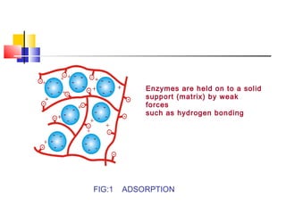 FIG:1 ADSORPTION
Enzymes are held on to a solid
support (matrix) by weak
forces
such as hydrogen bonding
 