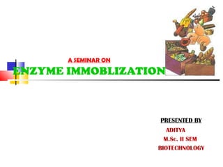 A SEMINAR ON
ENZYME IMMOBLIZATION
PRESENTED BY
ADITYA
M.Sc. II SEM
BIOTECHNOLOGY
 